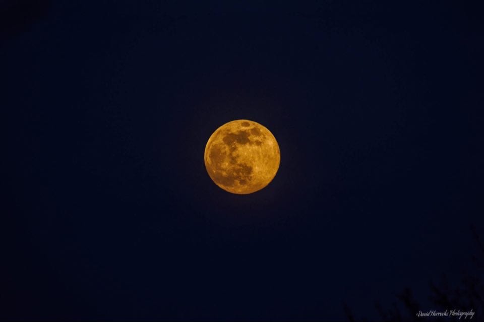 moon is rusting