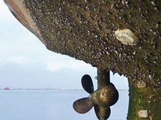 Eco-Friendly and Economical Strategy to Produce Antifouling Coatings