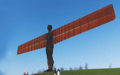 Fellow’s Corner – Nov/ Dec 25